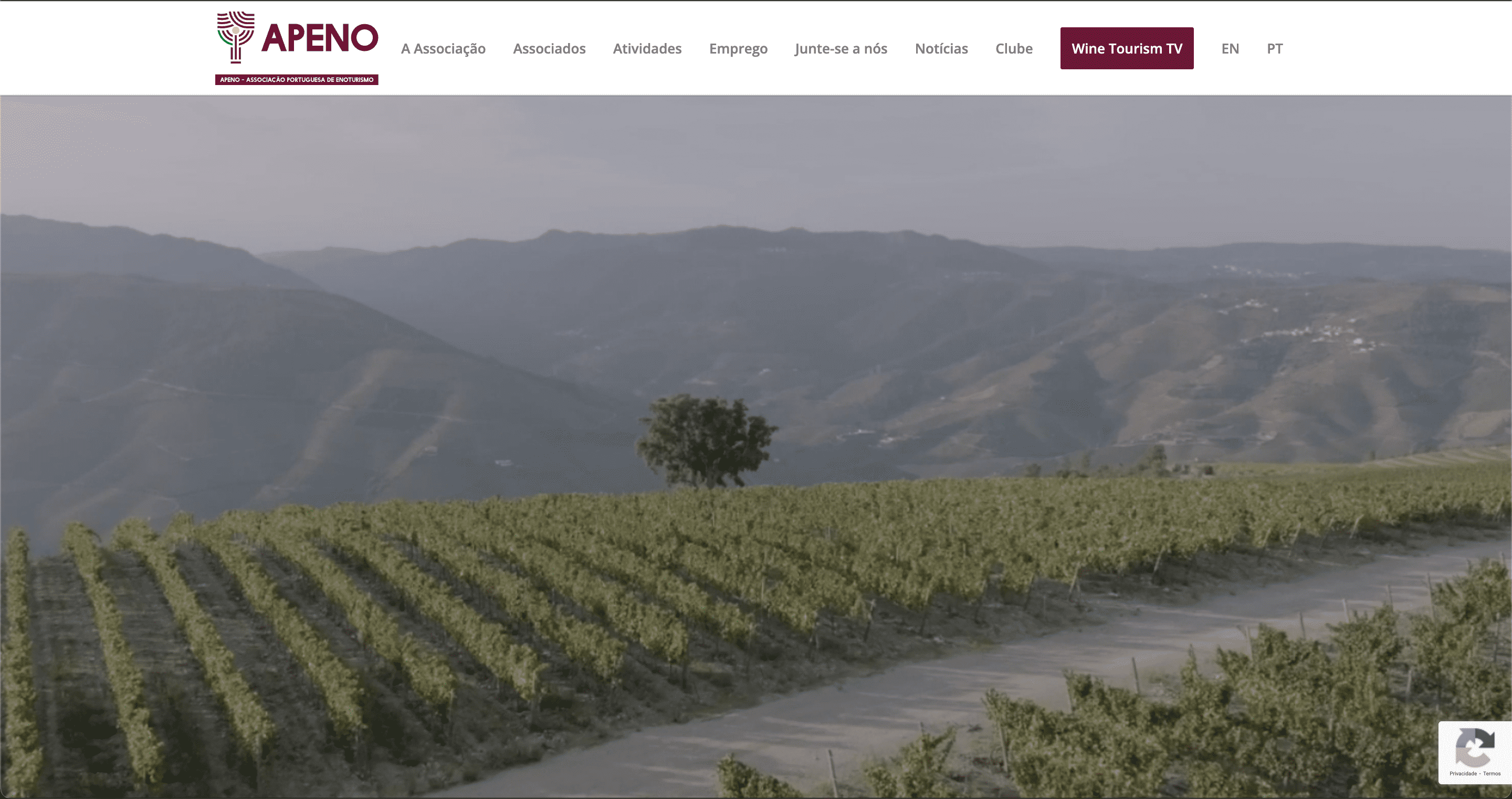 APENO Website