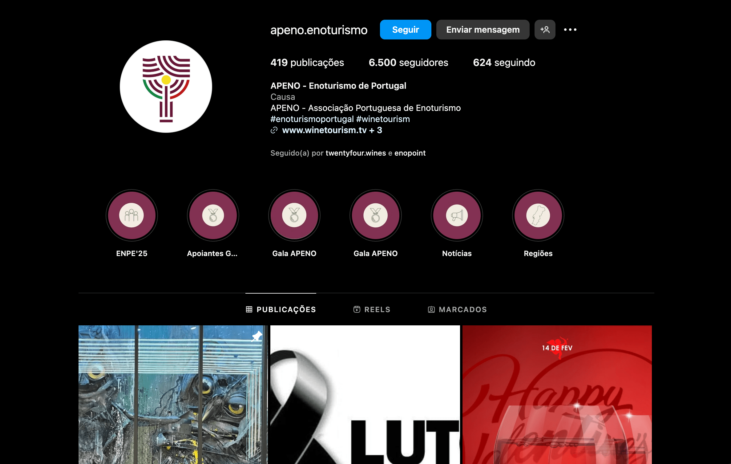 APENO instagram